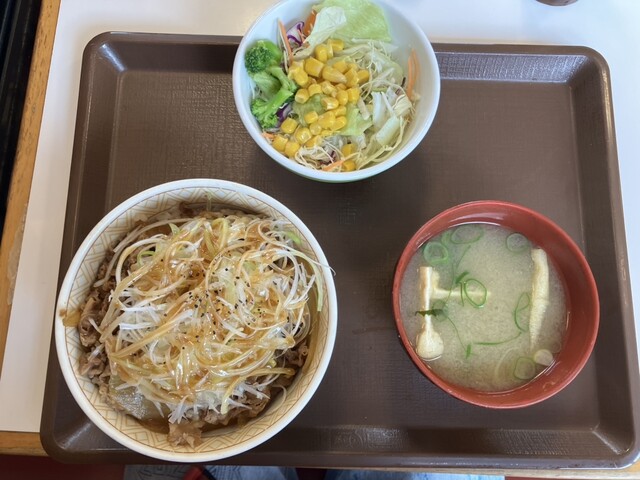 Sukiya Nijugo Go Ikaruga Horyuji Ten photo 5