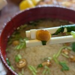 仁亭 - ちっちぇ豆腐となめこ