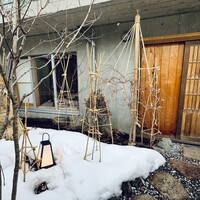 霜止出苗 - 
