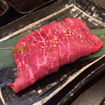 SATOブリアン - カメノコウ