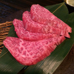 SATOブリアン - ヒレ