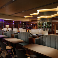 THE RIGOLETTO - 