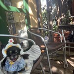 カフェ・フェリーチェ - 