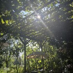 カフェ・フェリーチェ - 