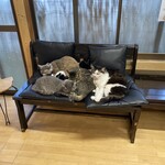 ねこ屋 - 