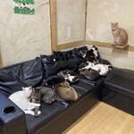 ねこ屋 - 