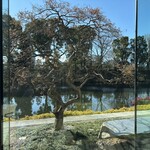 グランド キッチン - 