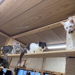 ねこ屋 - 