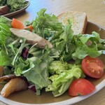 アマルフィイ デラセーラ - 