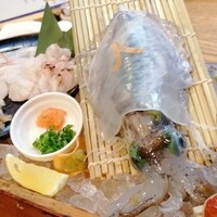 磯ぎよし 天神店 - 呼子のイカの刺身、クエの刺身