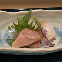 札幌 鮨 よこ田 - 