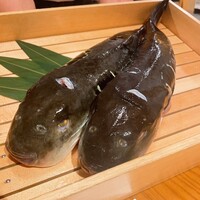 とらふぐ専門 ふぐ中俣 - 