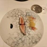 ニシデリア - 