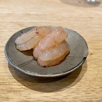 霜止出苗 - 