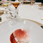 スガラボヴィー - 