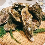 スガラボヴィー - 