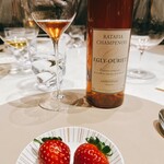 スガラボヴィー - 