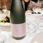 スガラボヴィー - 