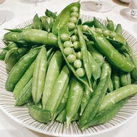 スガラボヴィー - 