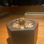 トムクリオーザ - 