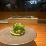 トムクリオーザ - 