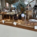 TOOTH TOOTH FISH IN THE FOREST - 