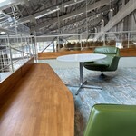 TOOTH TOOTH FISH IN THE FOREST - 