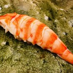 鮨桂太 - 車海老