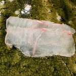 鮨桂太 - ヒラメ