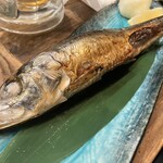 吉田町食堂 きんぎょ - トロイワシ