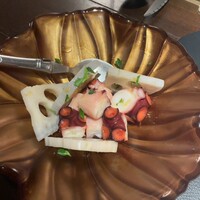 Potoro - 