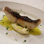 トラットリア トマティカ - 