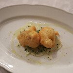 トラットリア トマティカ - 