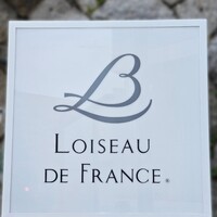 Loiseau de France - 