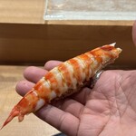 北浜鮨やまの - 