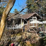 プルーンの木 - 