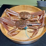 旅亭懐石 のとや - 