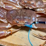 旅亭懐石 のとや - 