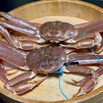 旅亭懐石 のとや - 