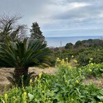 一夜城 ヨロイヅカ・ファーム - 