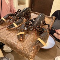 ボニュ - 