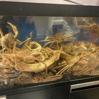味処 高崎 - 