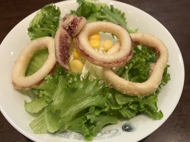 Curry House CoCo Ichibanya Yamatokoriyama Tsutsui Ten photo 2