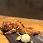 炭火焼きリリー - 