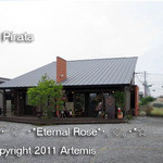 La Pirata ラ・ピラータ - 