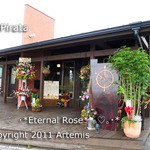 La Pirata ラ・ピラータ - 