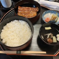 うなぎ秋本 -  うなぎ秋本 -