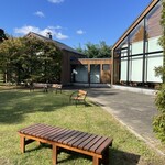 ドレモルタオ - 