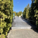 ドレモルタオ - 