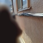 創作麺 ひとすじ - 40分待ちました